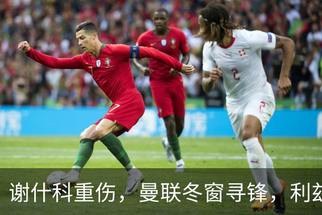 谢什科重伤，曼联冬窗寻锋，利兹联前锋转会难度加大